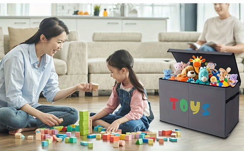 Toy Storage Organizer
