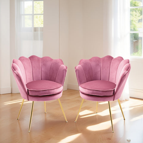 Petal Chair 2 Piece Set, Upholstered Velvet Accent Chair